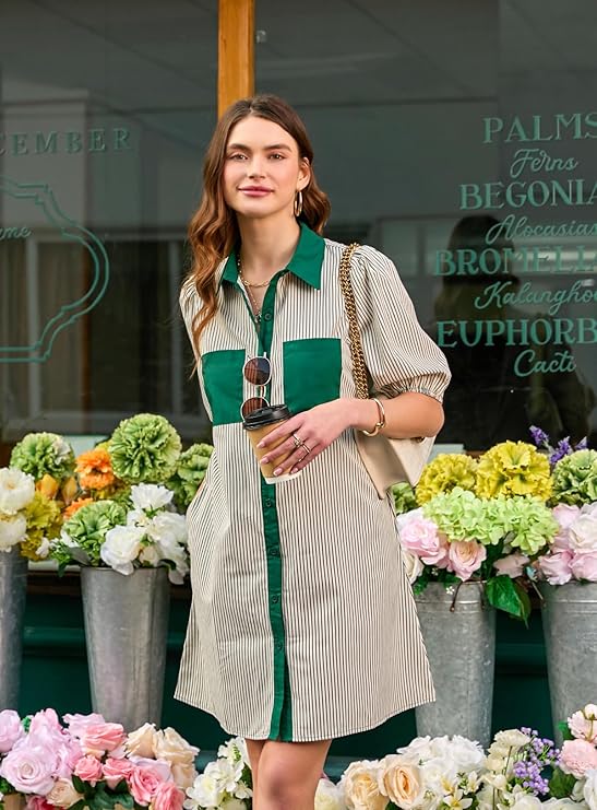 Shirt Style Dress